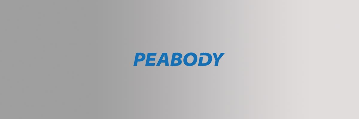 Técnicos Especialistas en Reparación de Aires Acondicionados Peabody en Buenos Aires